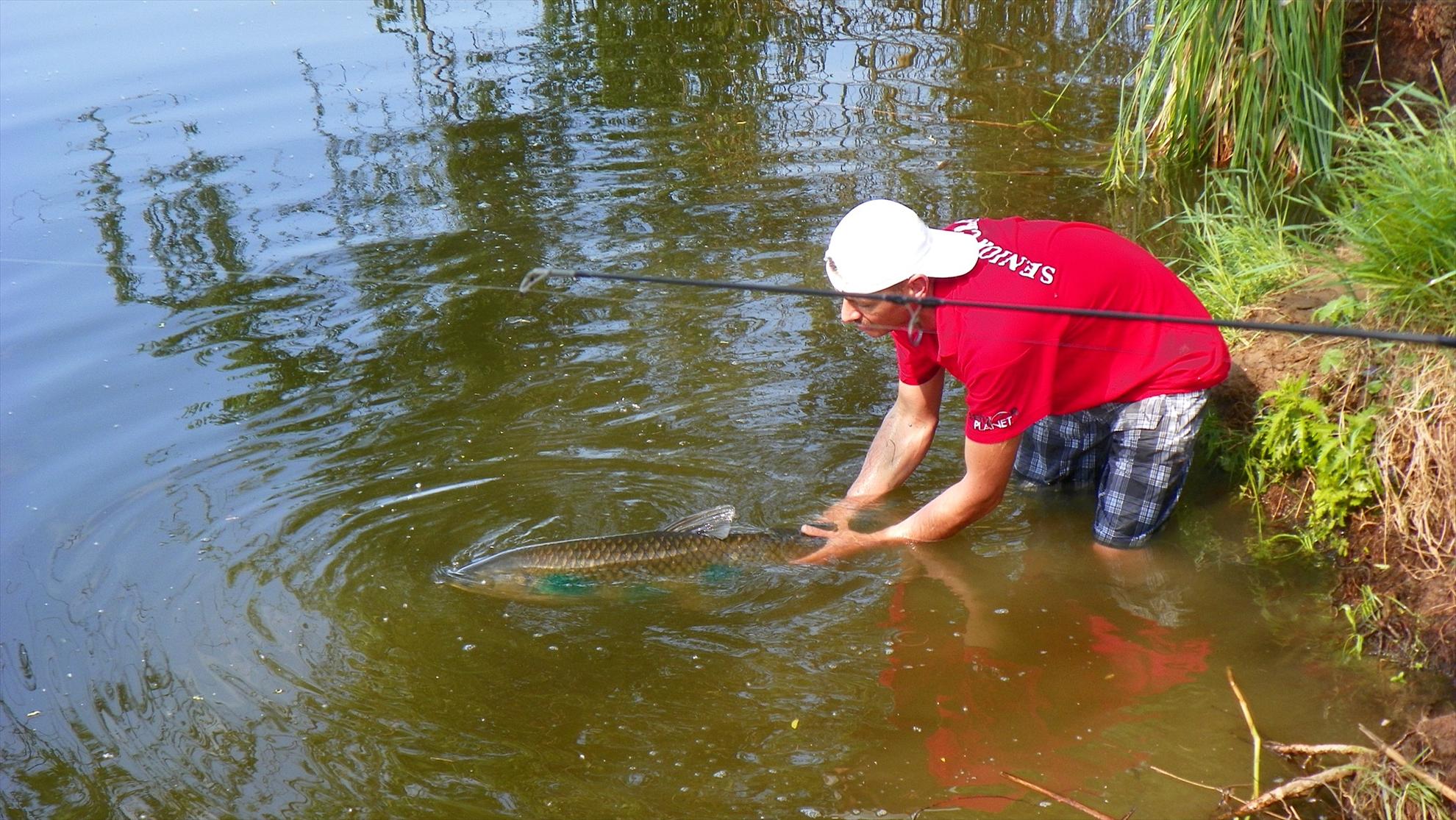 Crapmania (3) - 2011 - 1001725.JPG